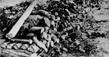 Klooga Camp, staged corpse-cremation pyre