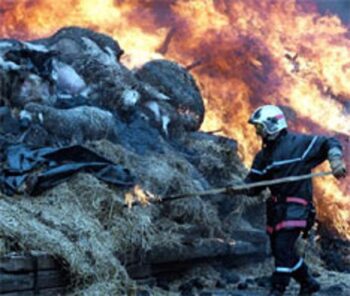 Outdoor livestock carcass cremation, UK, 2001, protective clothes