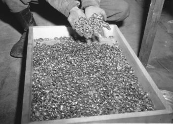 Pipe clippings, declared to be Wedding Rings by U.S. psy ops